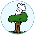 Baumkoch